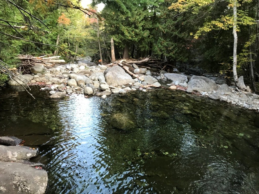 IMG_3727.JPG