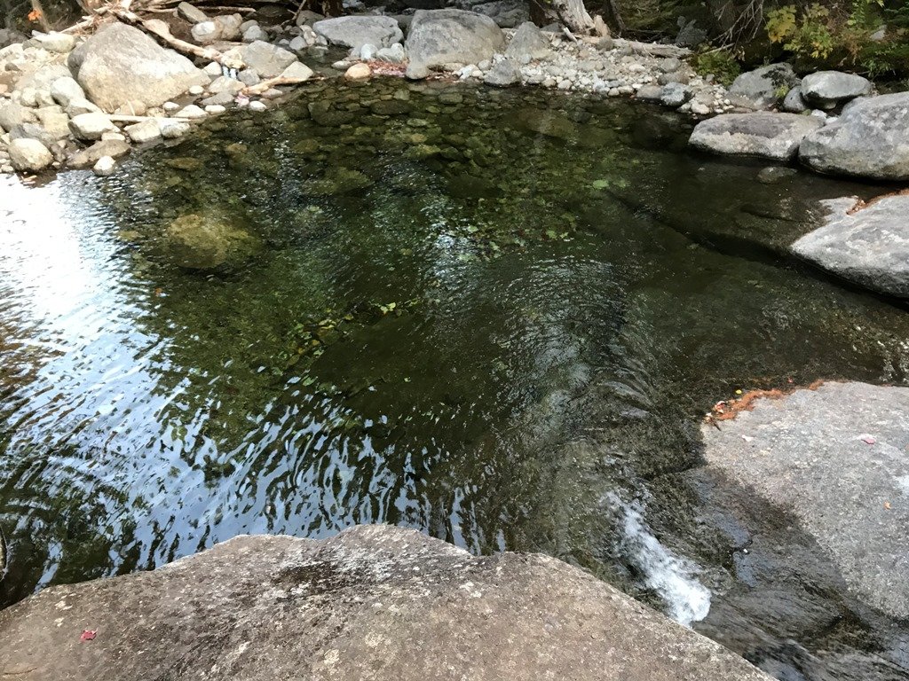 IMG_3728.JPG