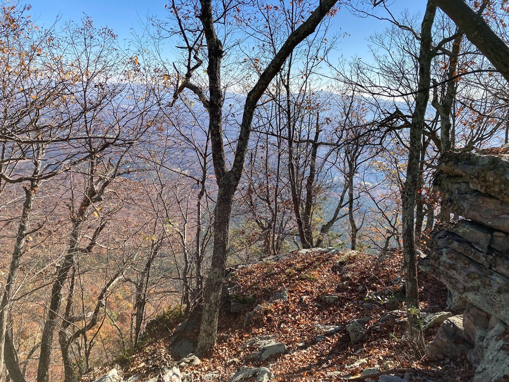 IMG_4209.jpg