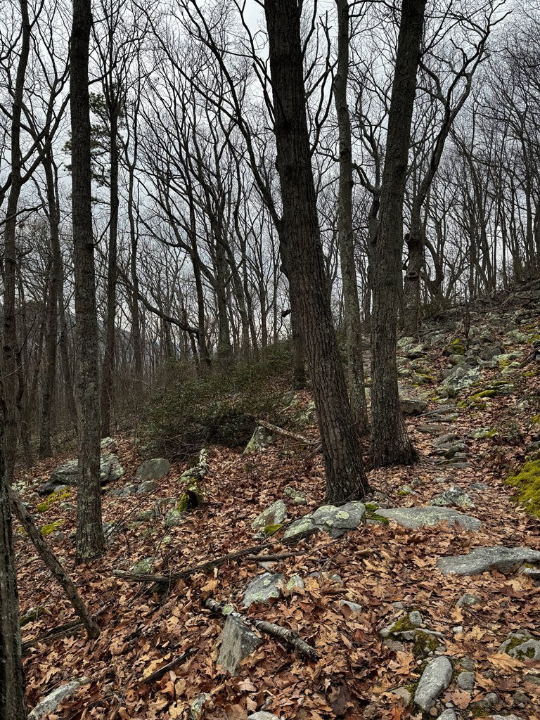 IMG_5876.jpg