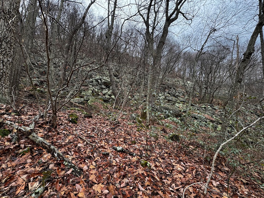 IMG_5882.jpg