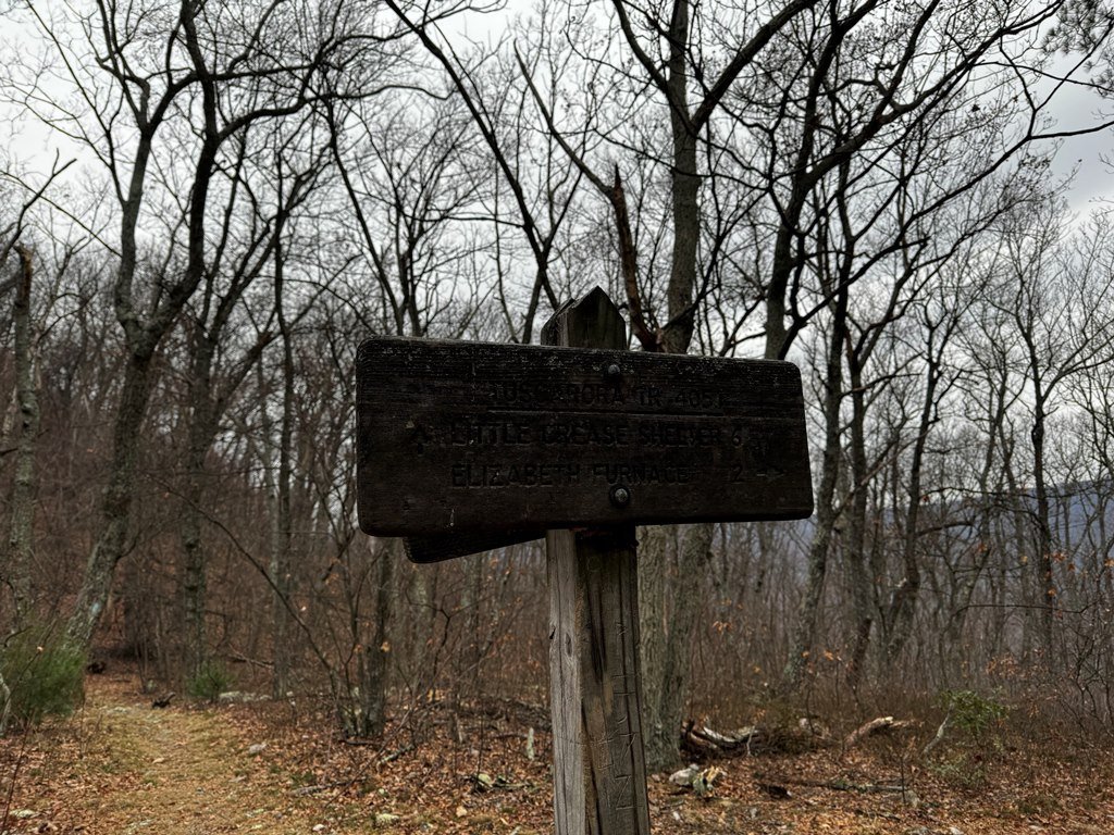 IMG_5886.jpg