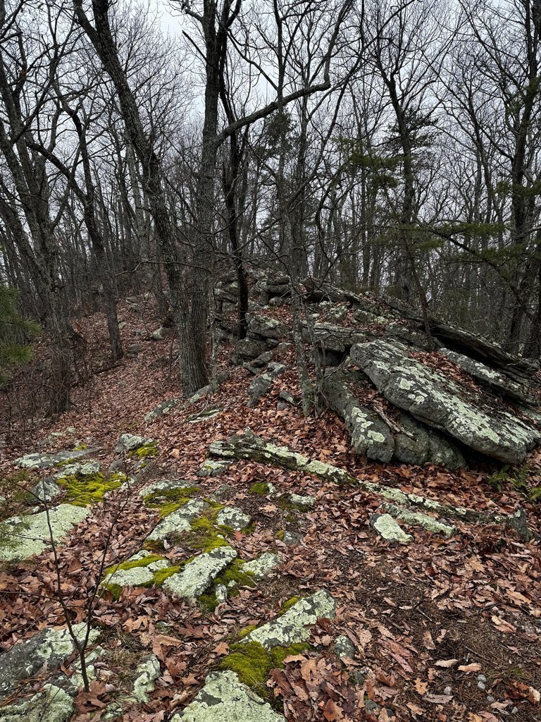 IMG_5889.jpg