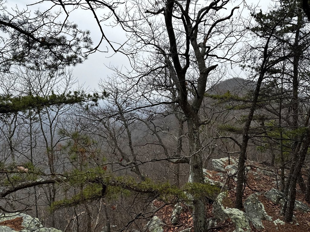 IMG_5890.jpg