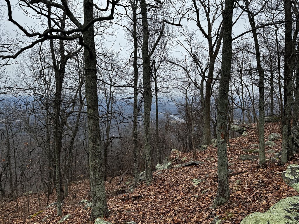 IMG_5893.jpg