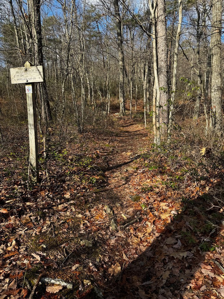 IMG_5925.jpg