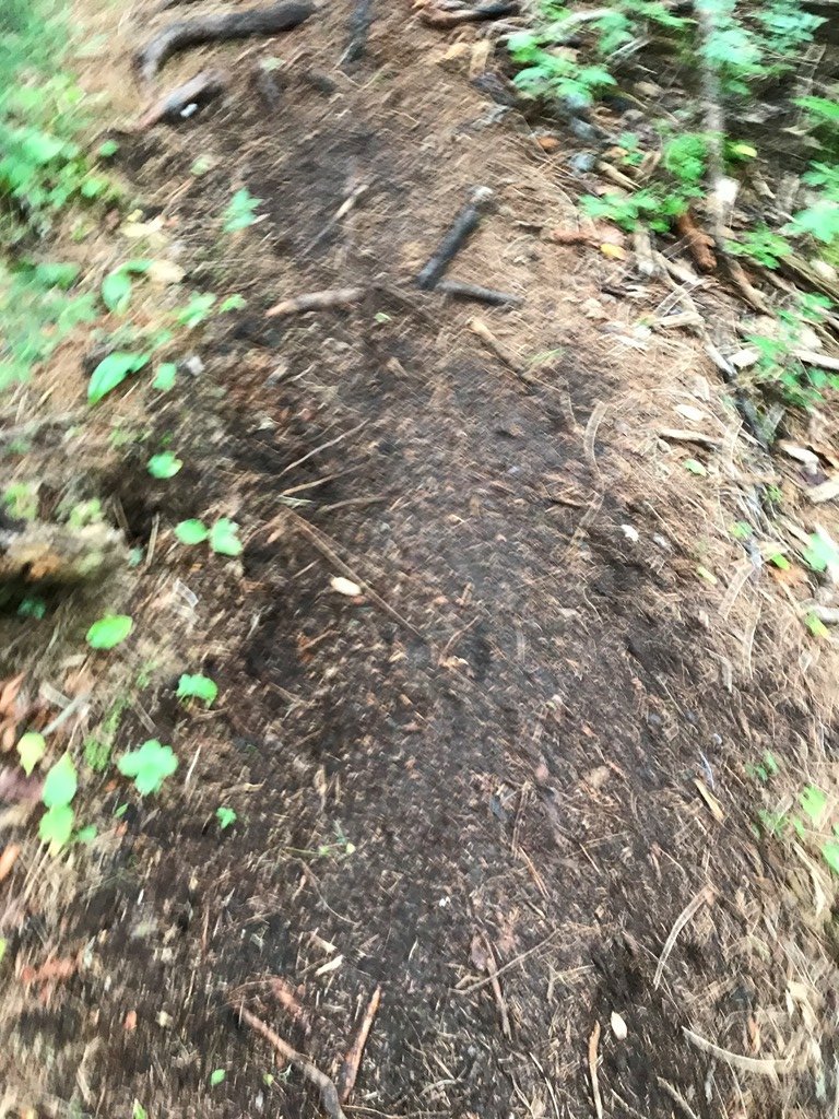 In motion