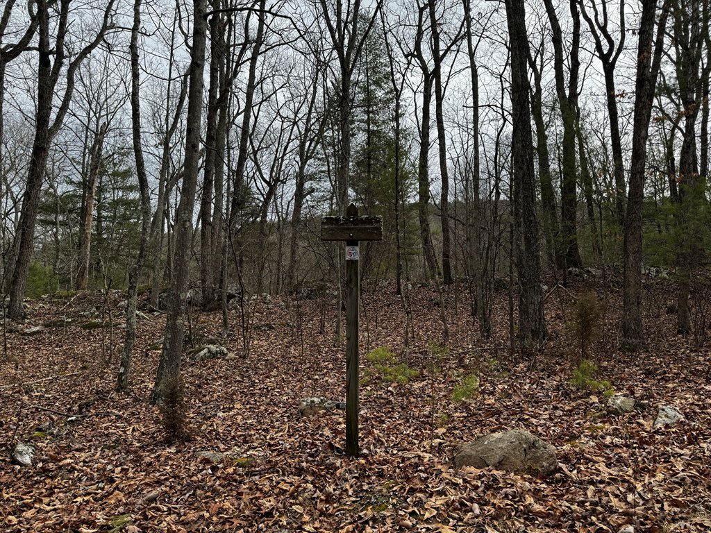 Massanutten Trail Goes Left