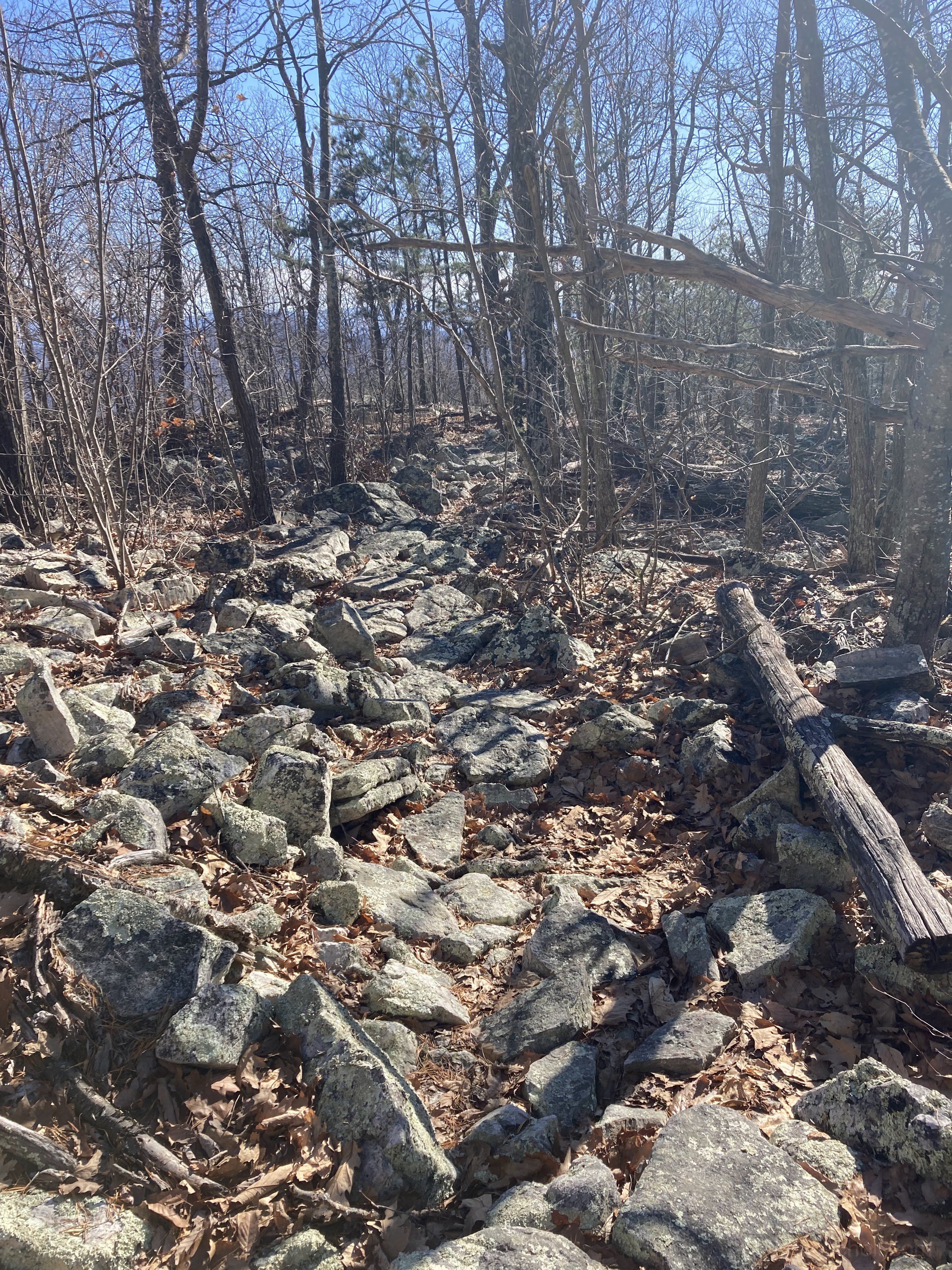 More rock field