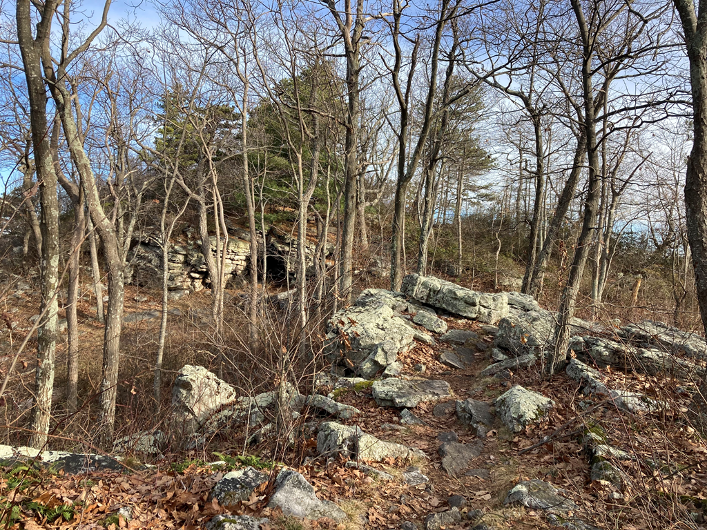 More rocky trail