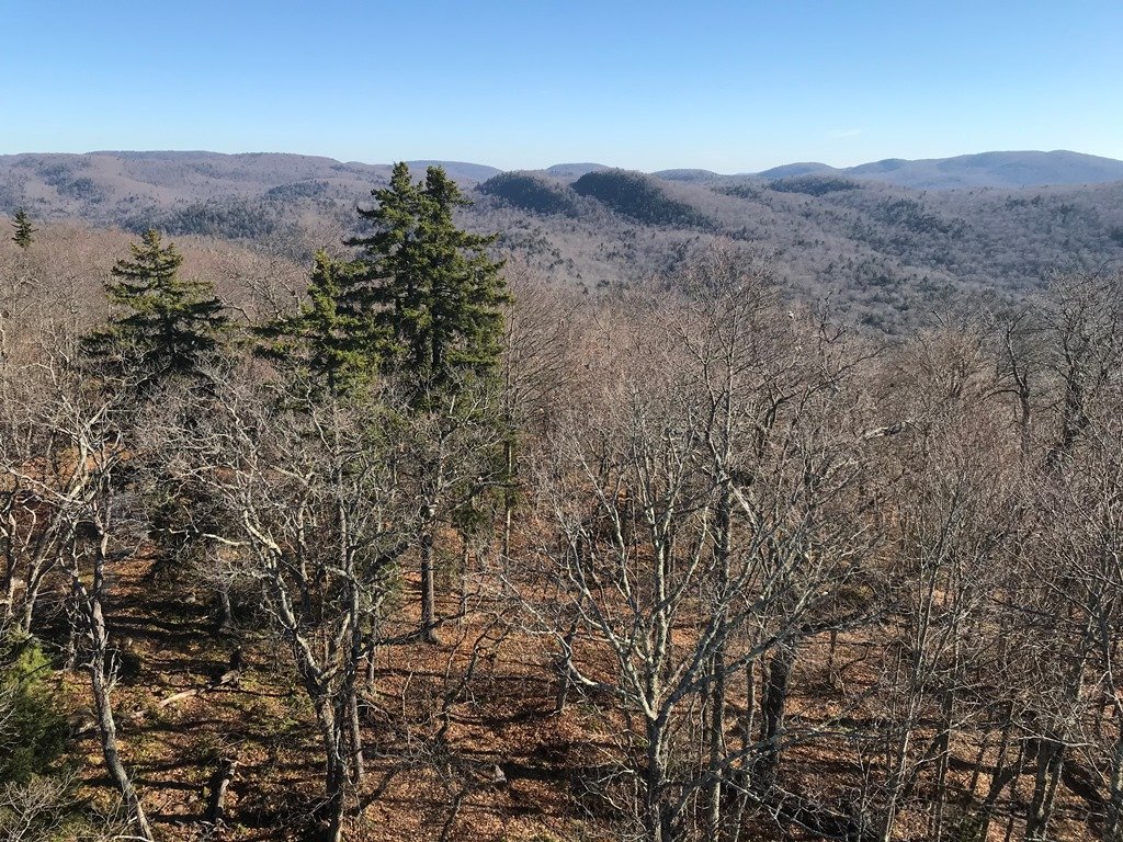 More views