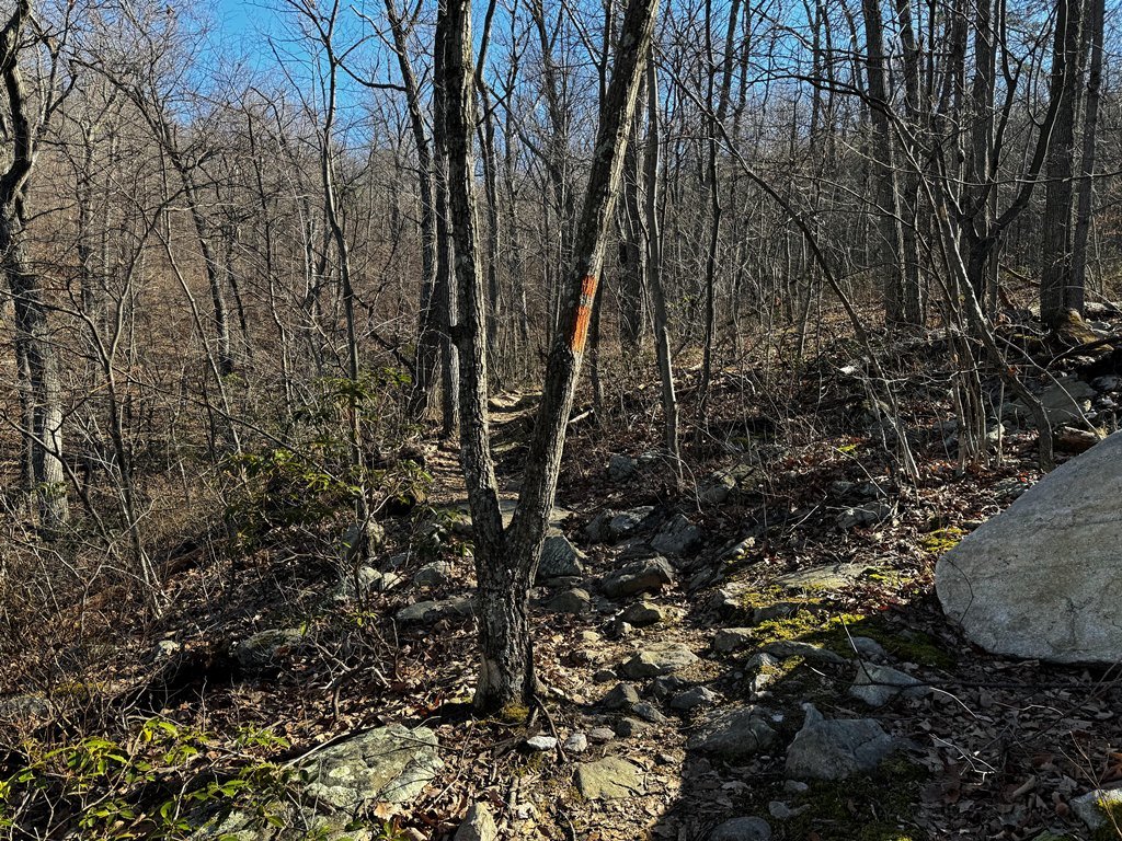 Orange Blaze