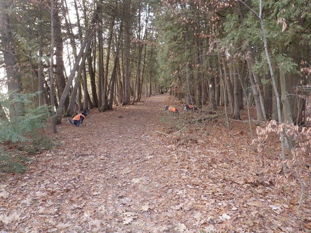 P1010004.jpg