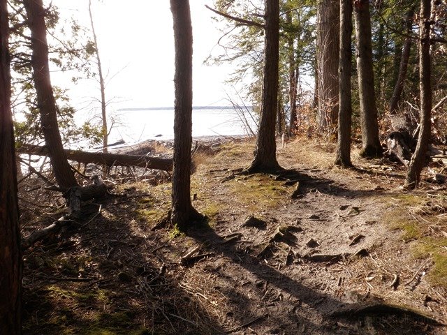 P1010005.jpg