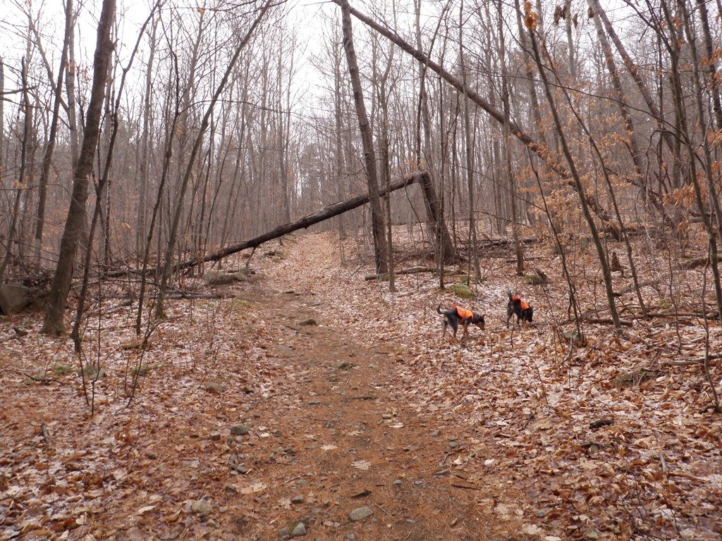 P1010006.jpg