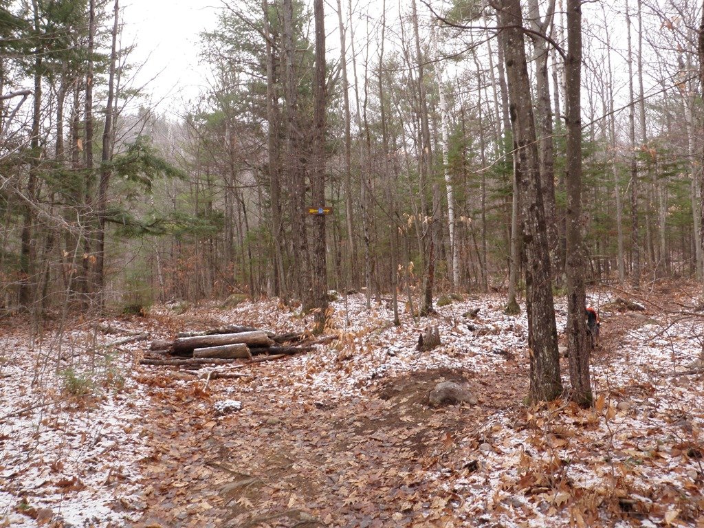 P1010007.jpg