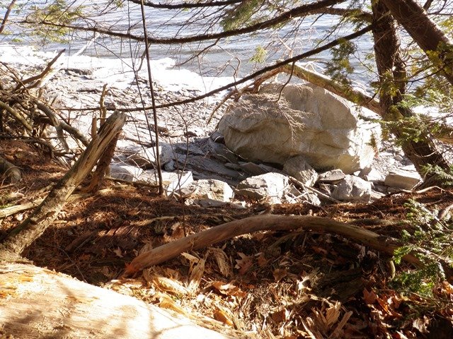 P1010010.jpg