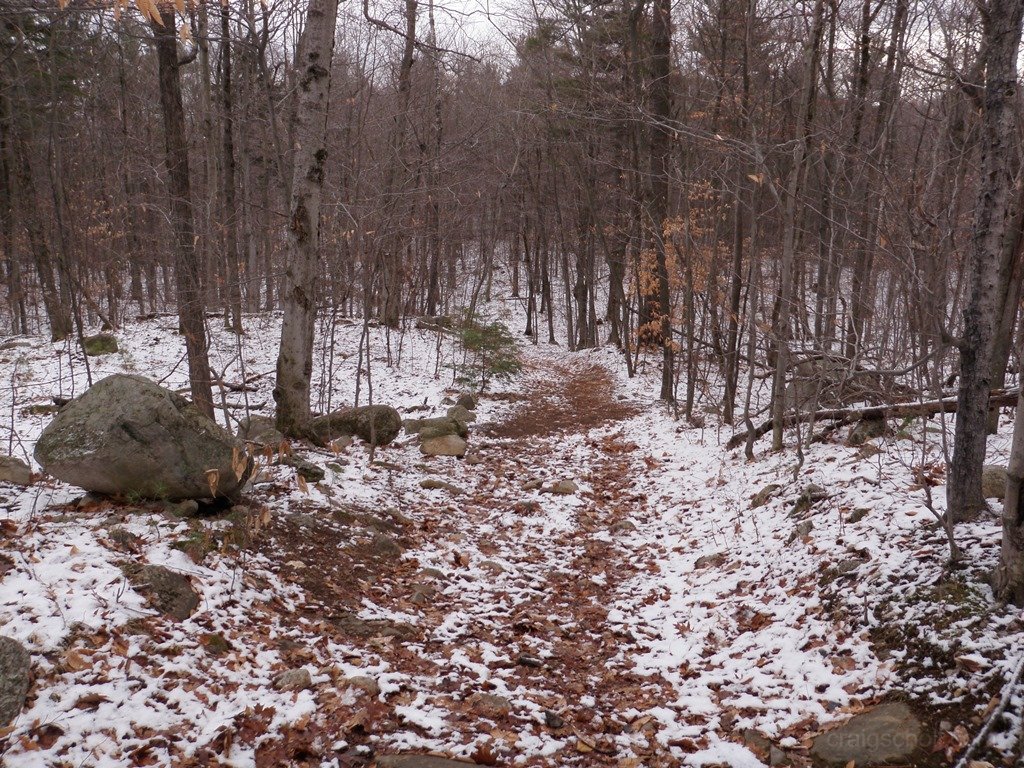 P1010011.jpg
