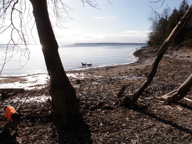 P1010013.jpg