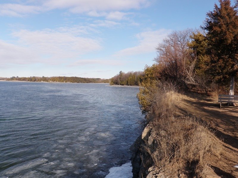 P1010017.jpg