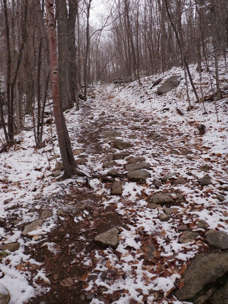 P1010021.jpg