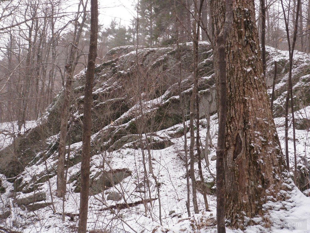 P1010022.jpg