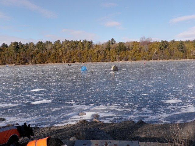 P1010026.jpg