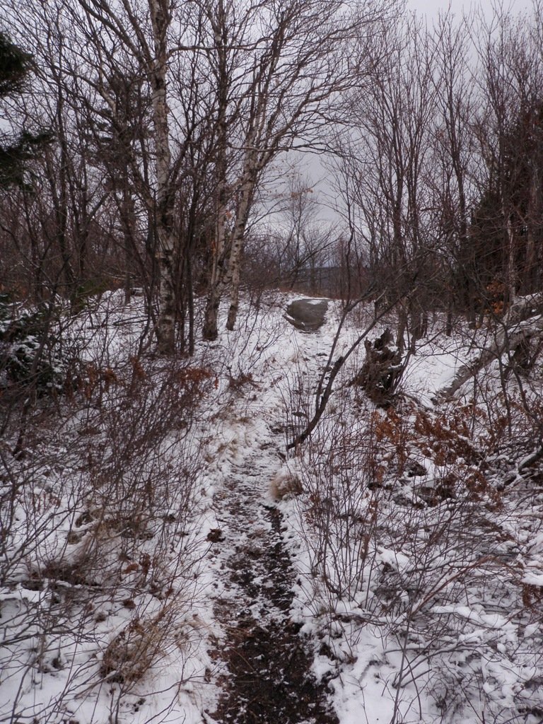 P1010043