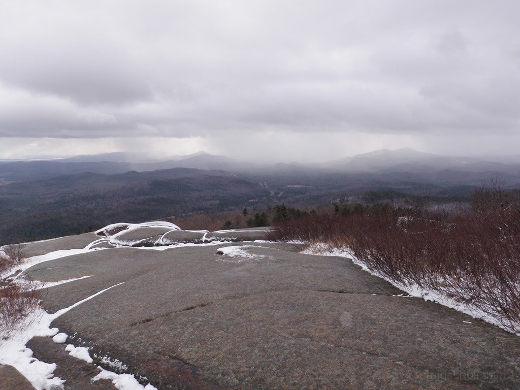 P1010044.jpg