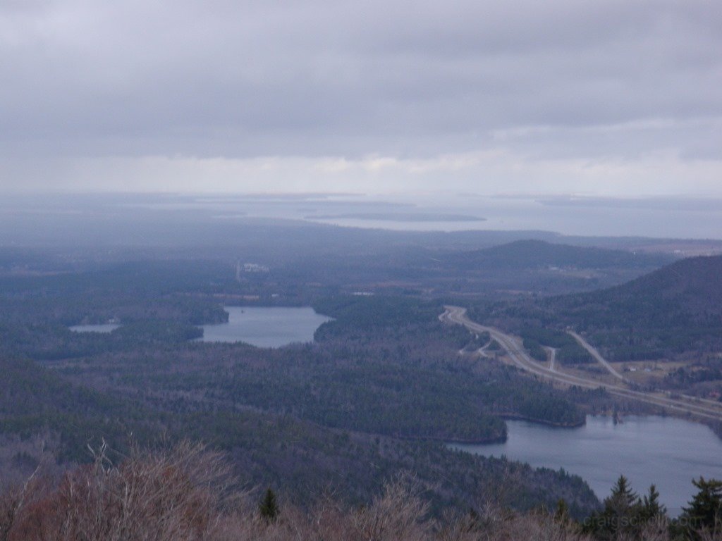 P1010054.jpg