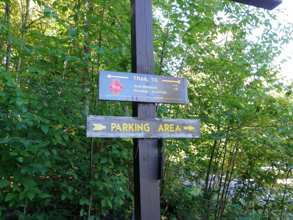 P1010138