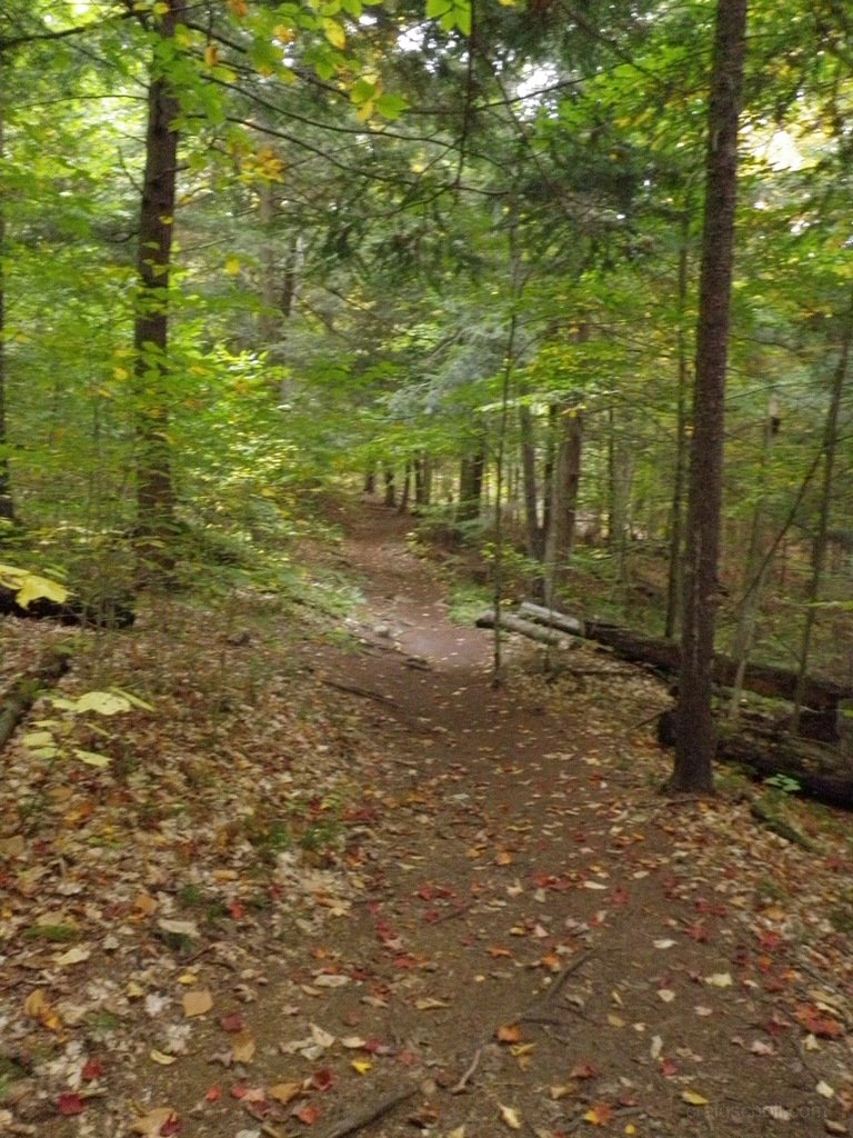 P1010157