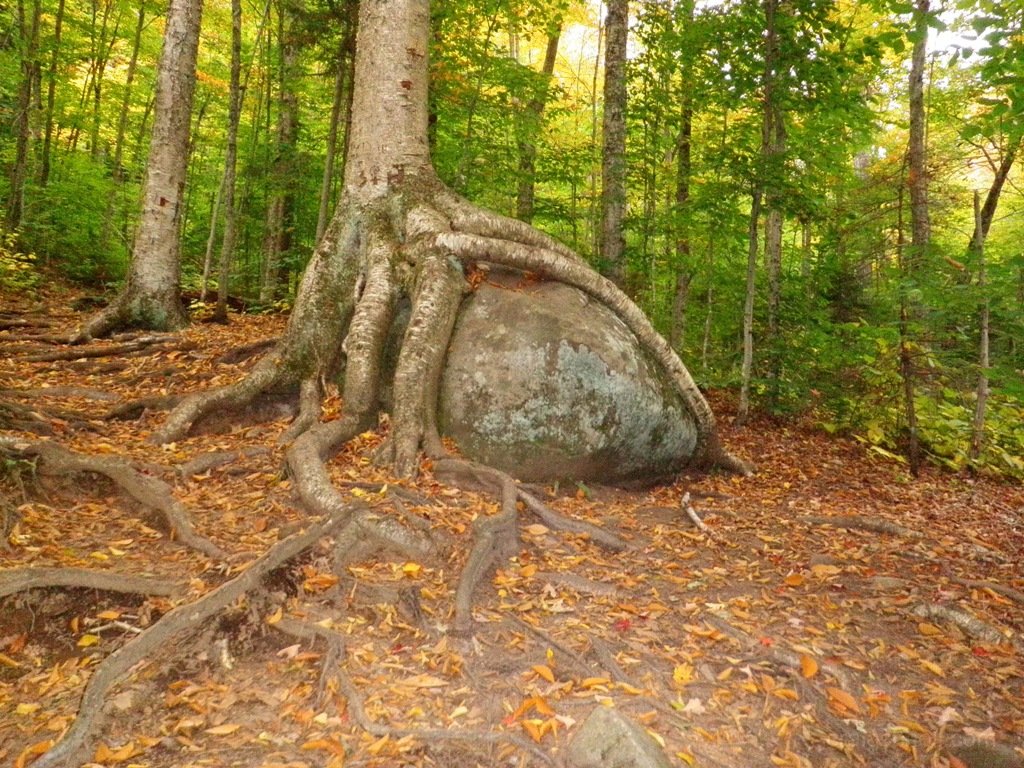 P1010164