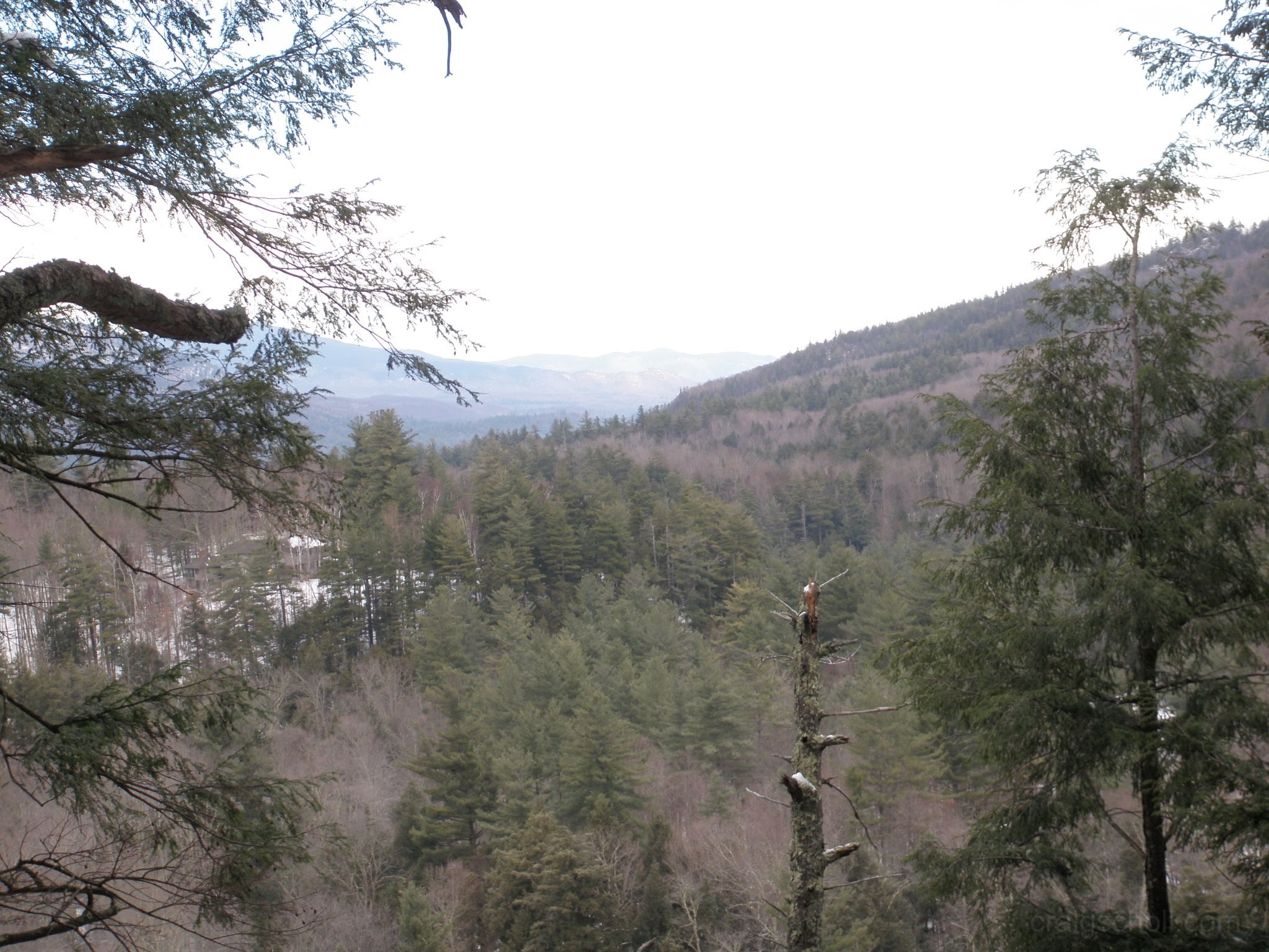 P1050002.jpg