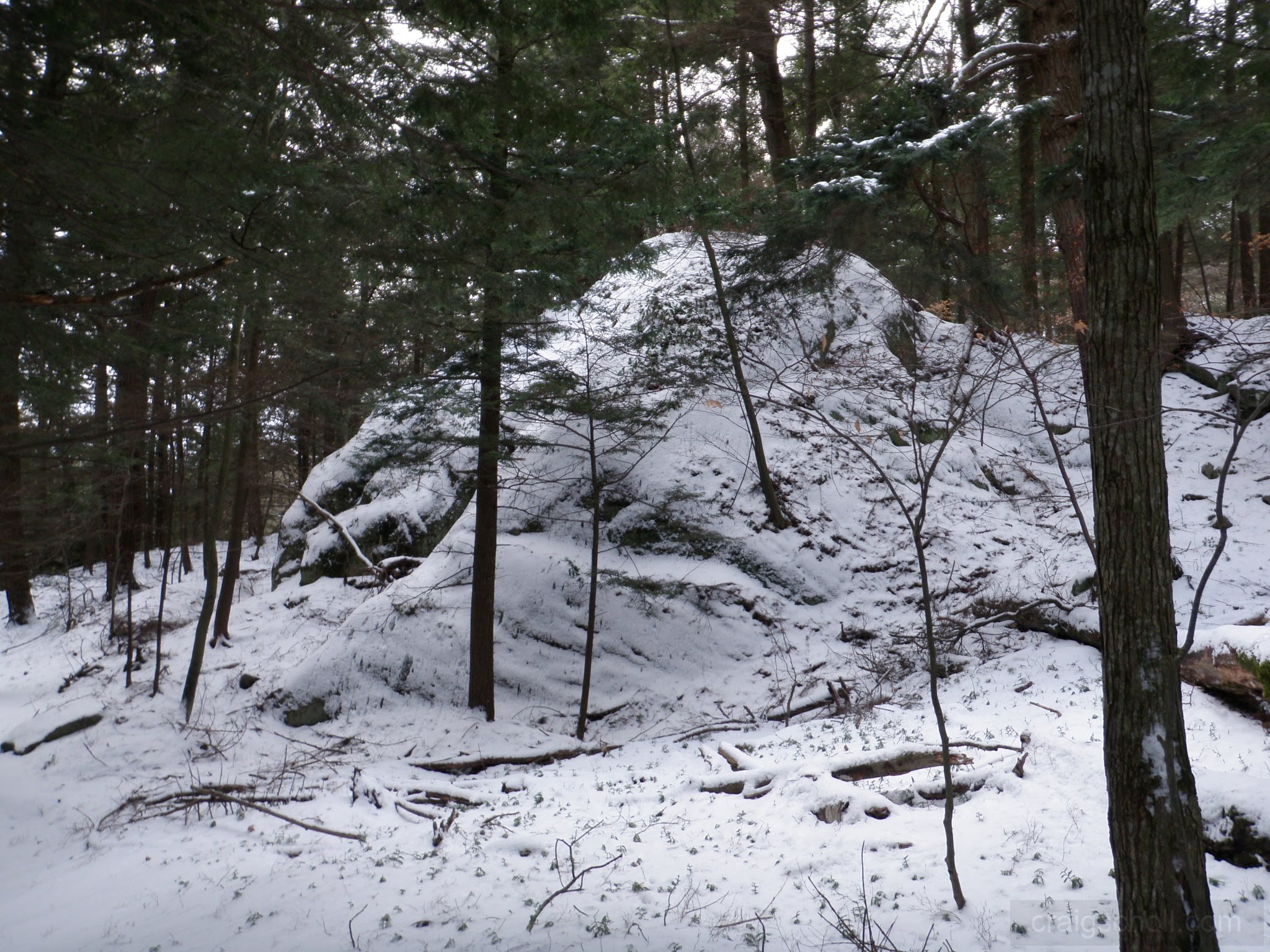 P1050003.jpg