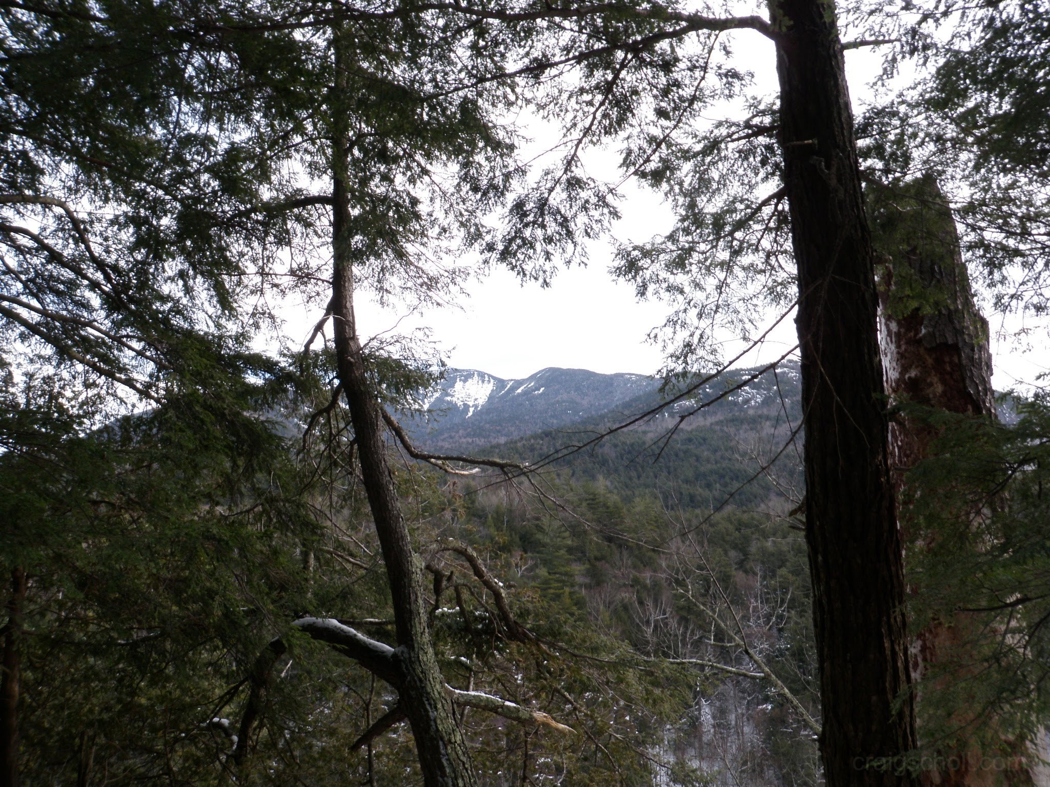 P1050005.jpg