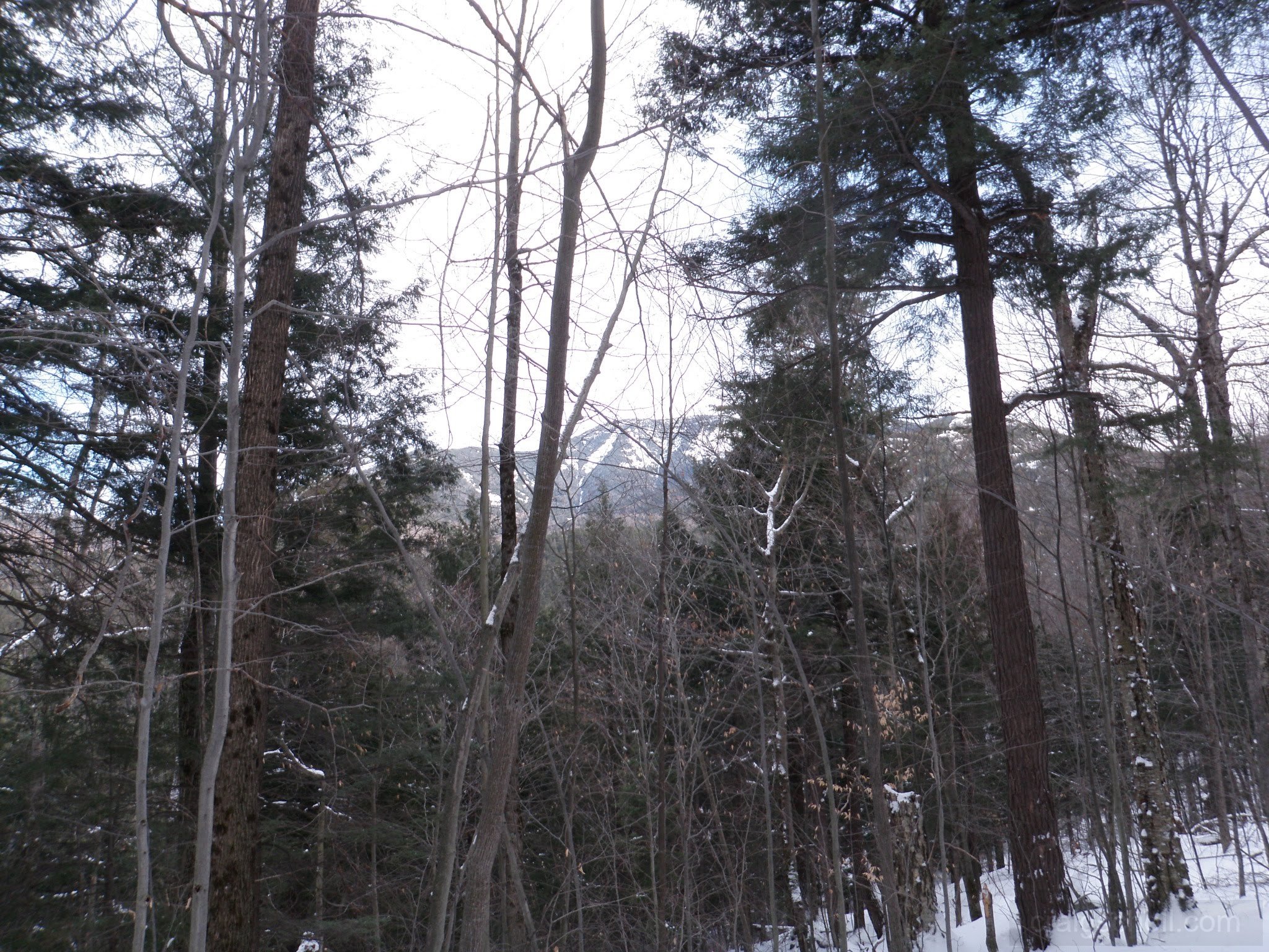 P1050006.jpg