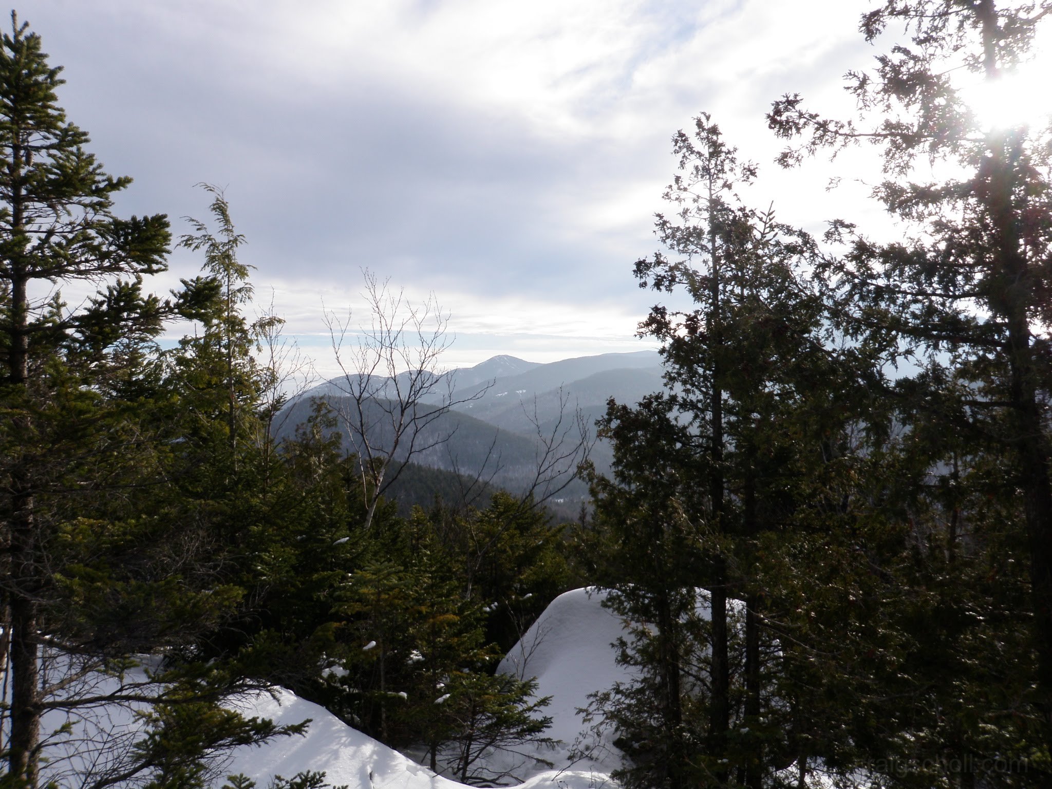 P1050028.jpg