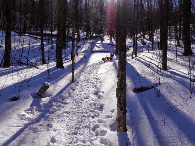 P2010011.jpg