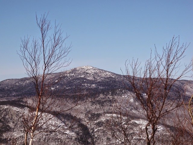P2010019.jpg