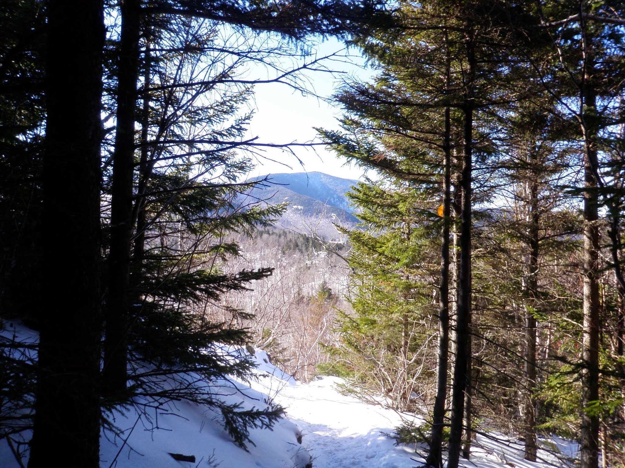 P2010022