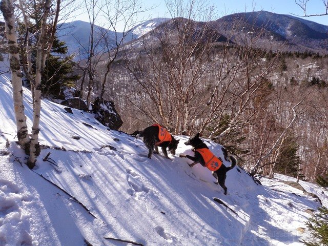 P2010026.jpg
