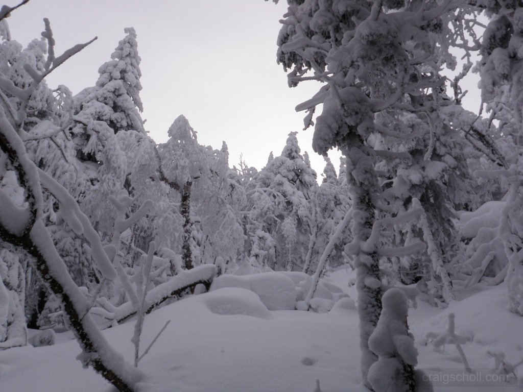 P2050033