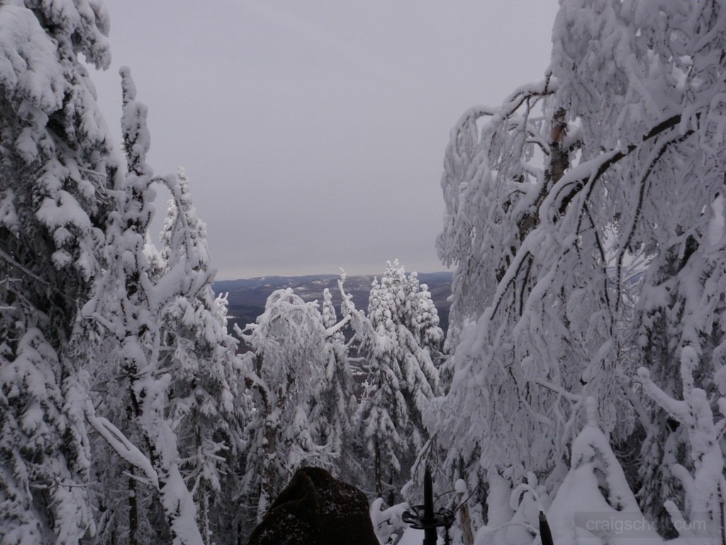 P2050036