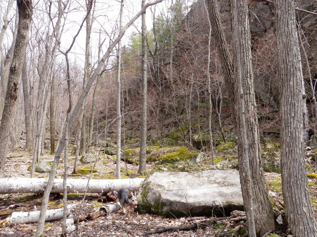 P5050047.JPG