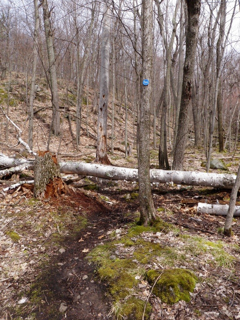 P5050048.JPG