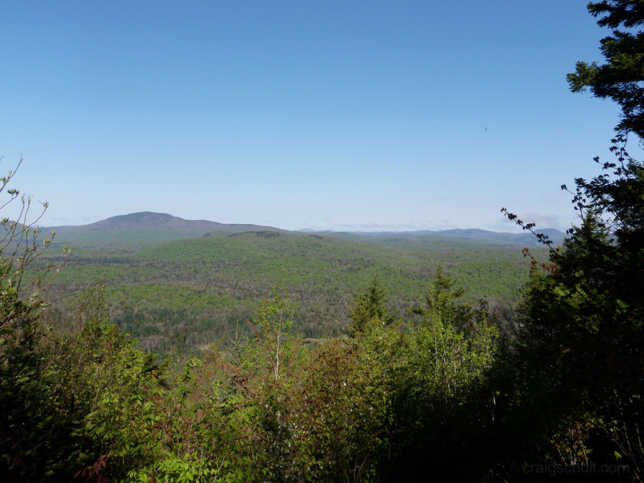 P5230010.jpg