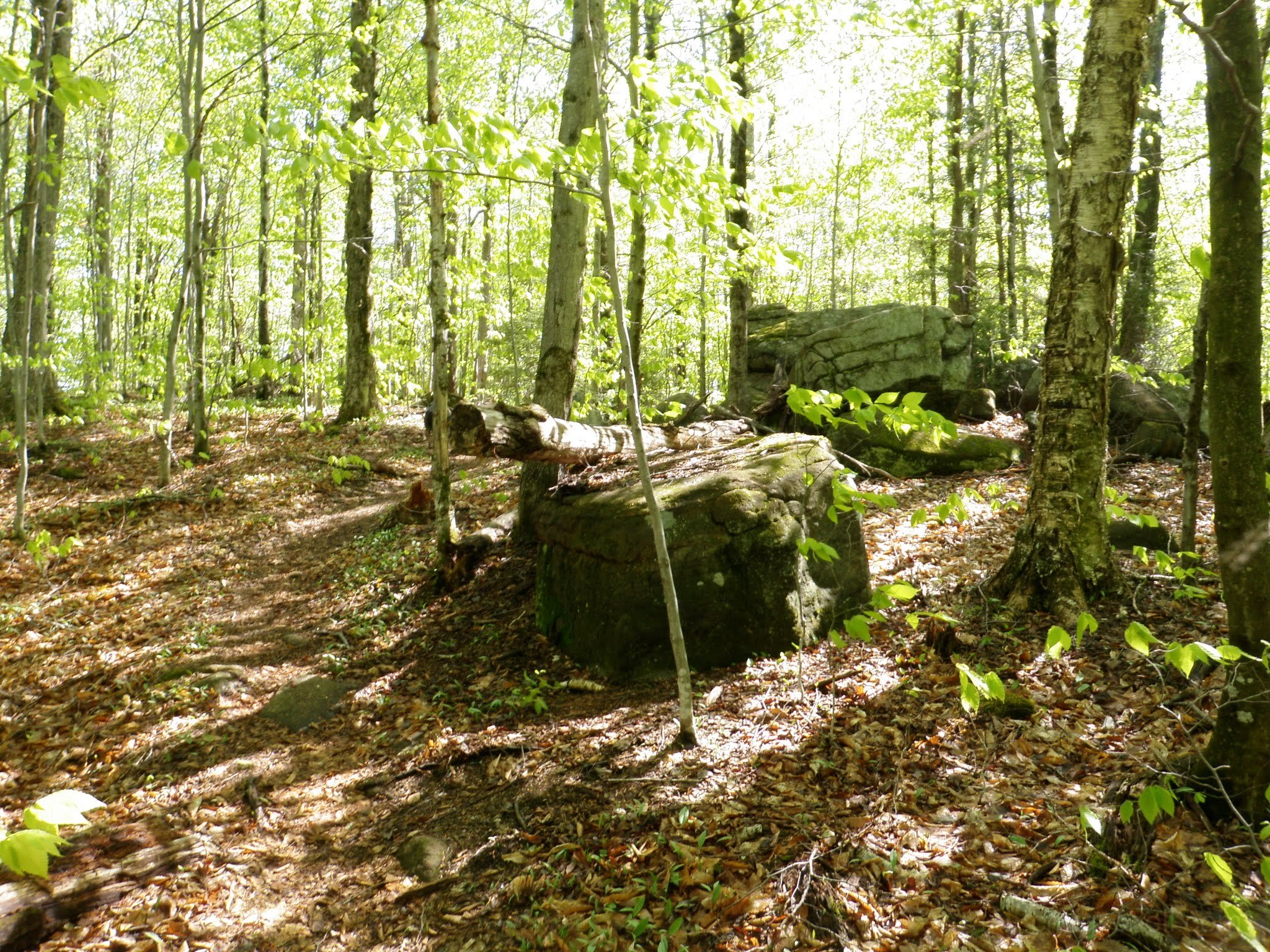 P5230018.jpg