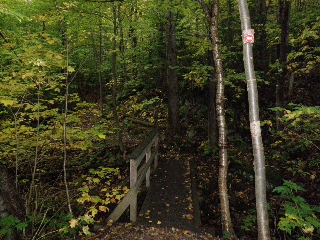 P9290001.JPG