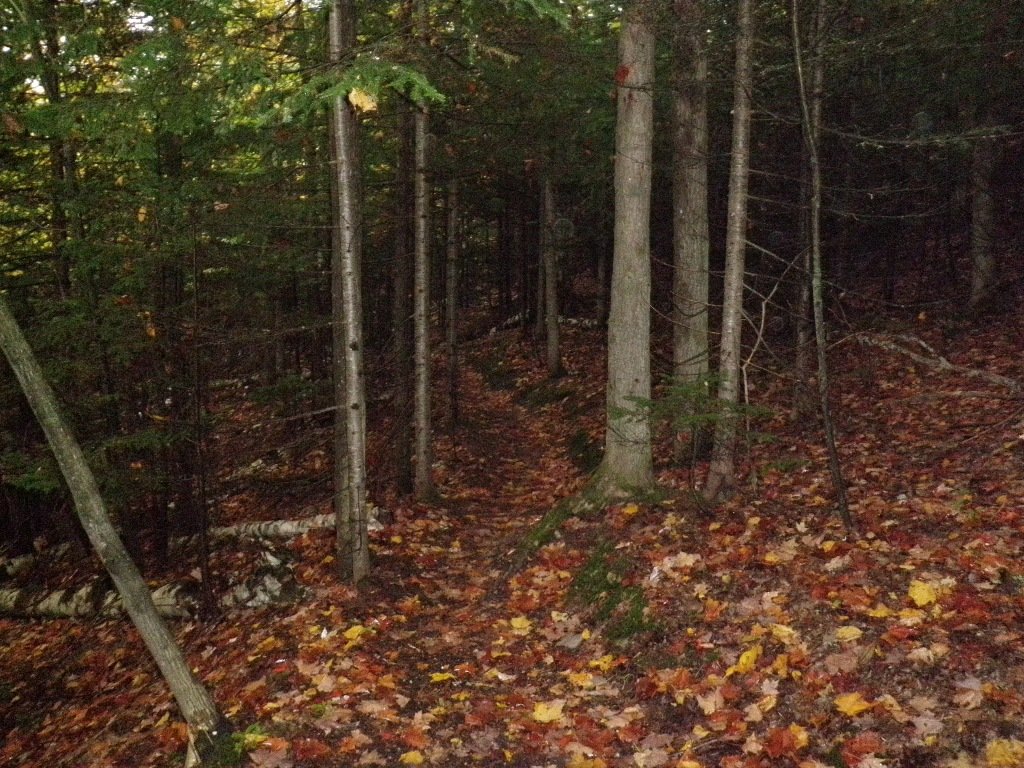 P9290002.JPG